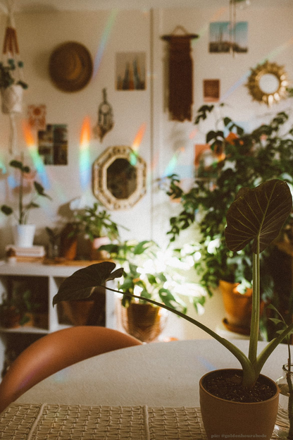 Smiley Flower 4" Suncatcher